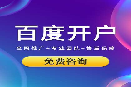 网络推广与竞价广告：双管齐下的策略案例